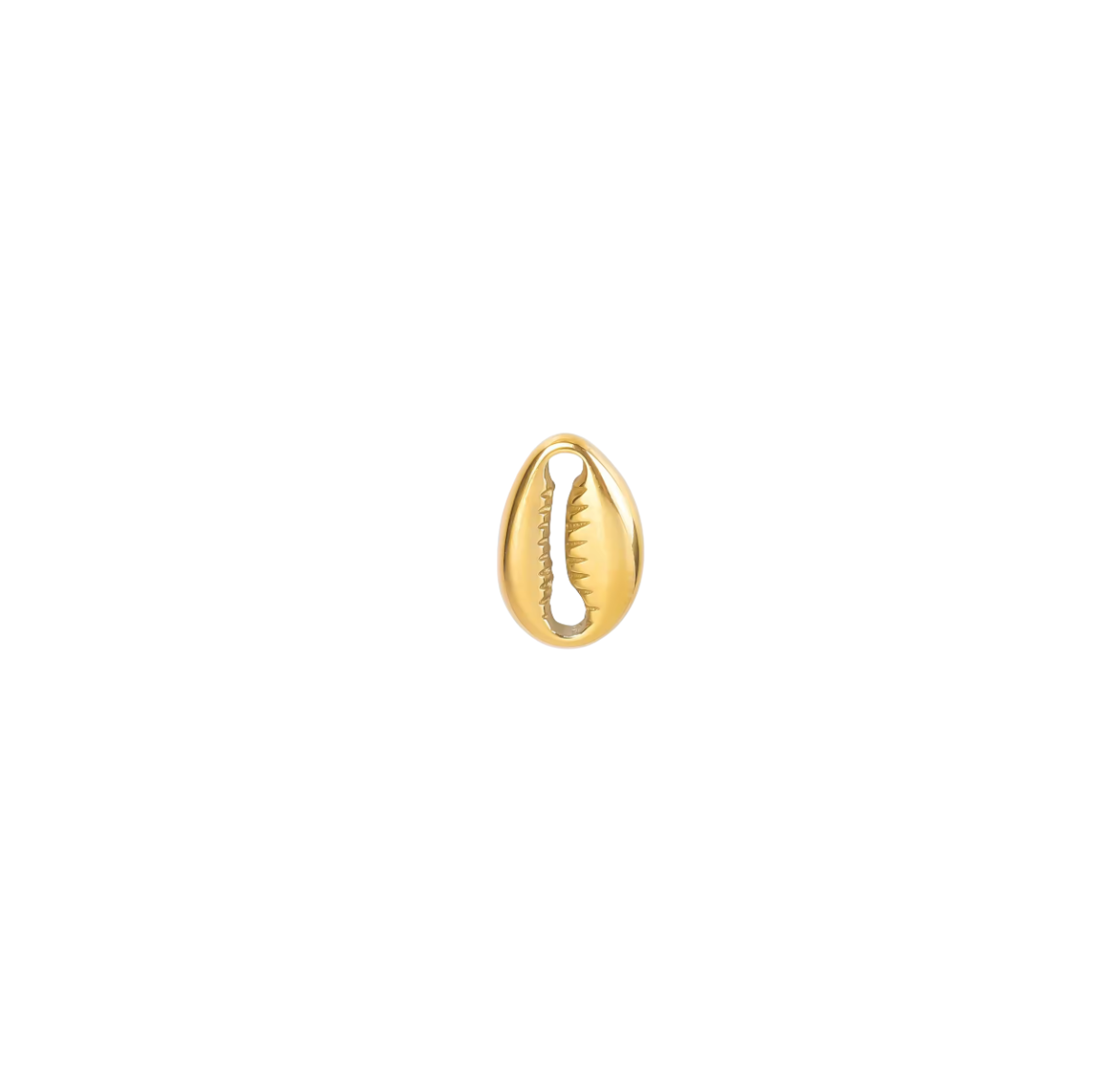 Cowrie Pendant