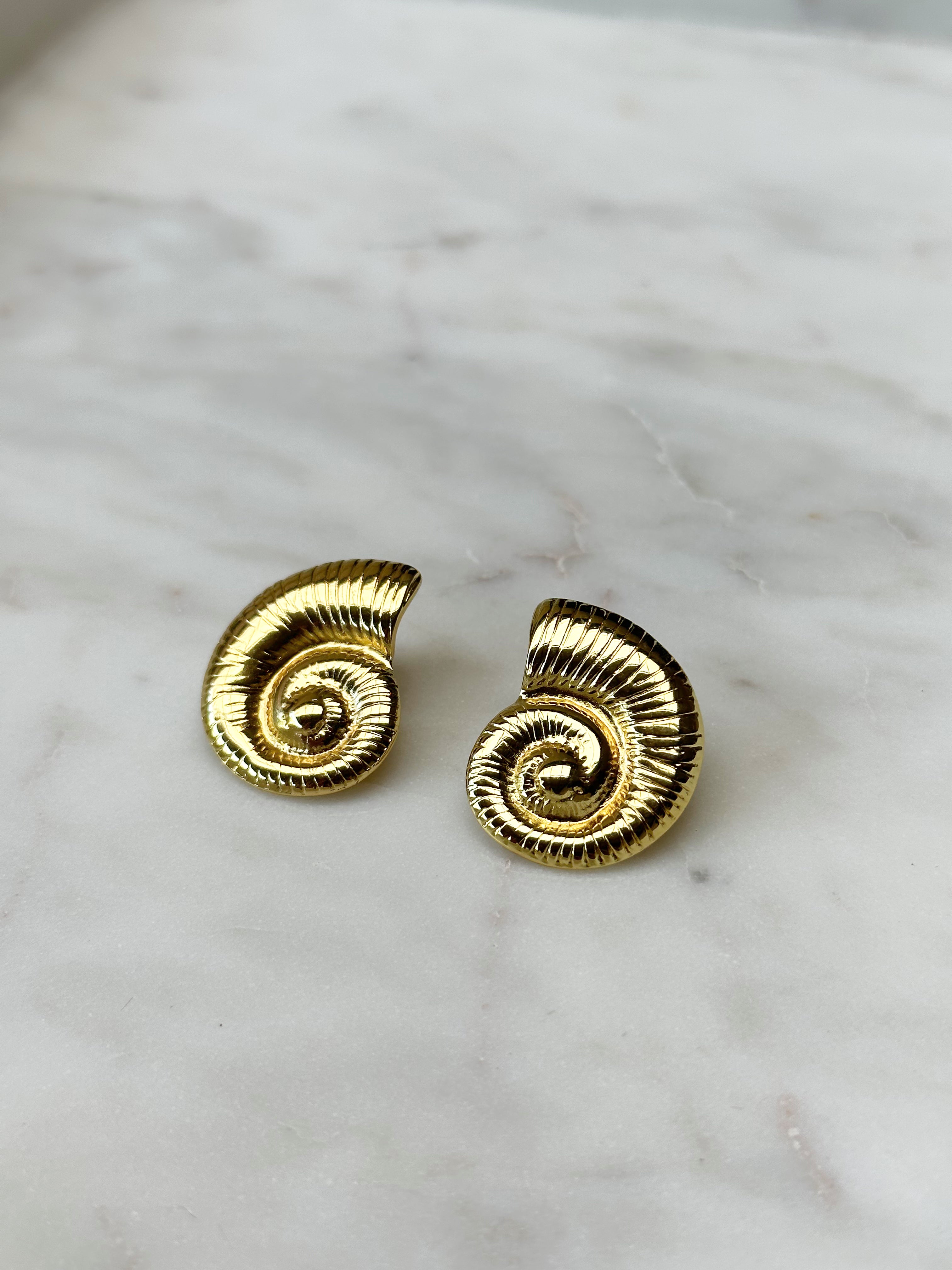 Conch Shell Earrings - Gold