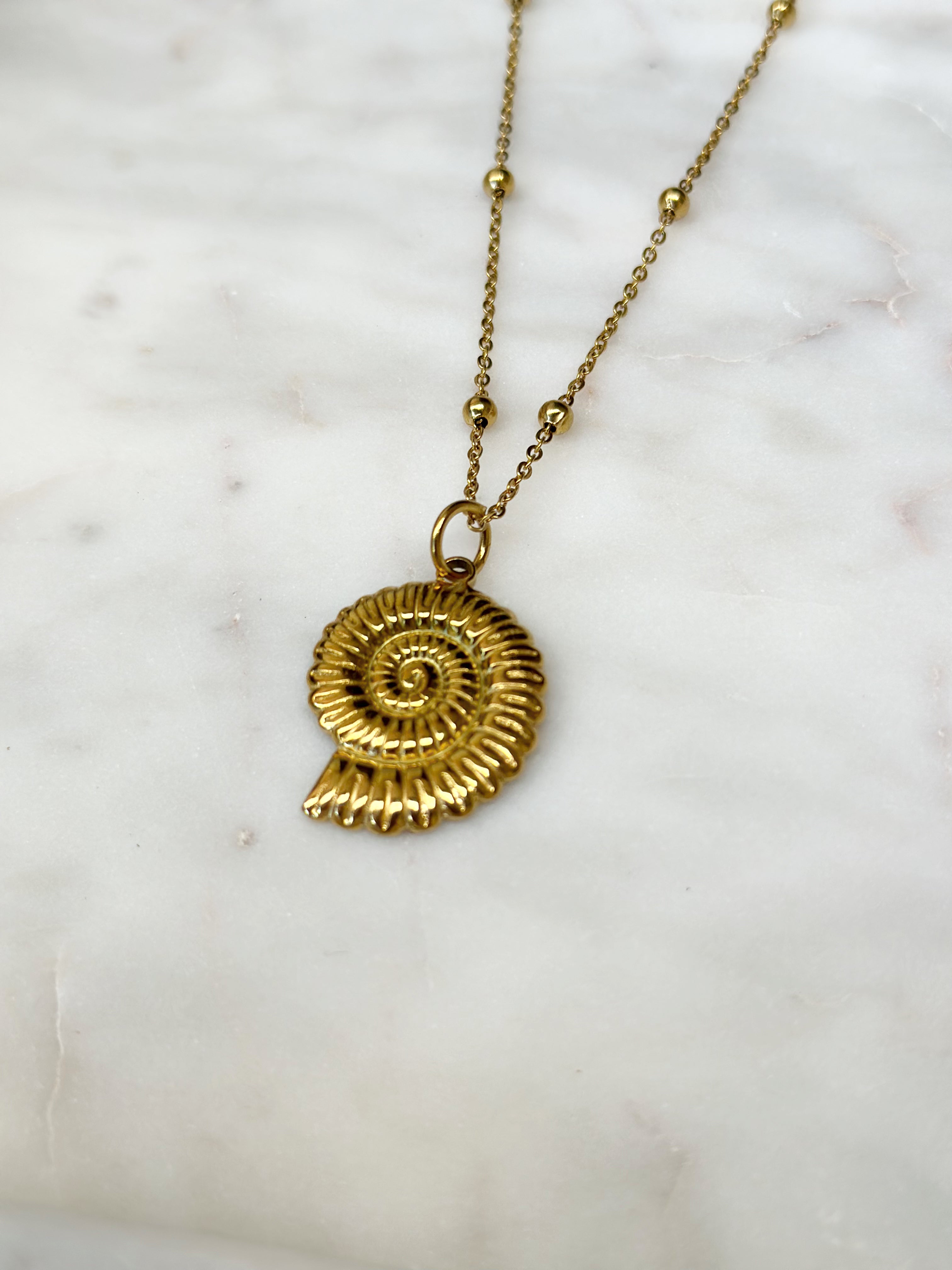 Conch Shell Necklace