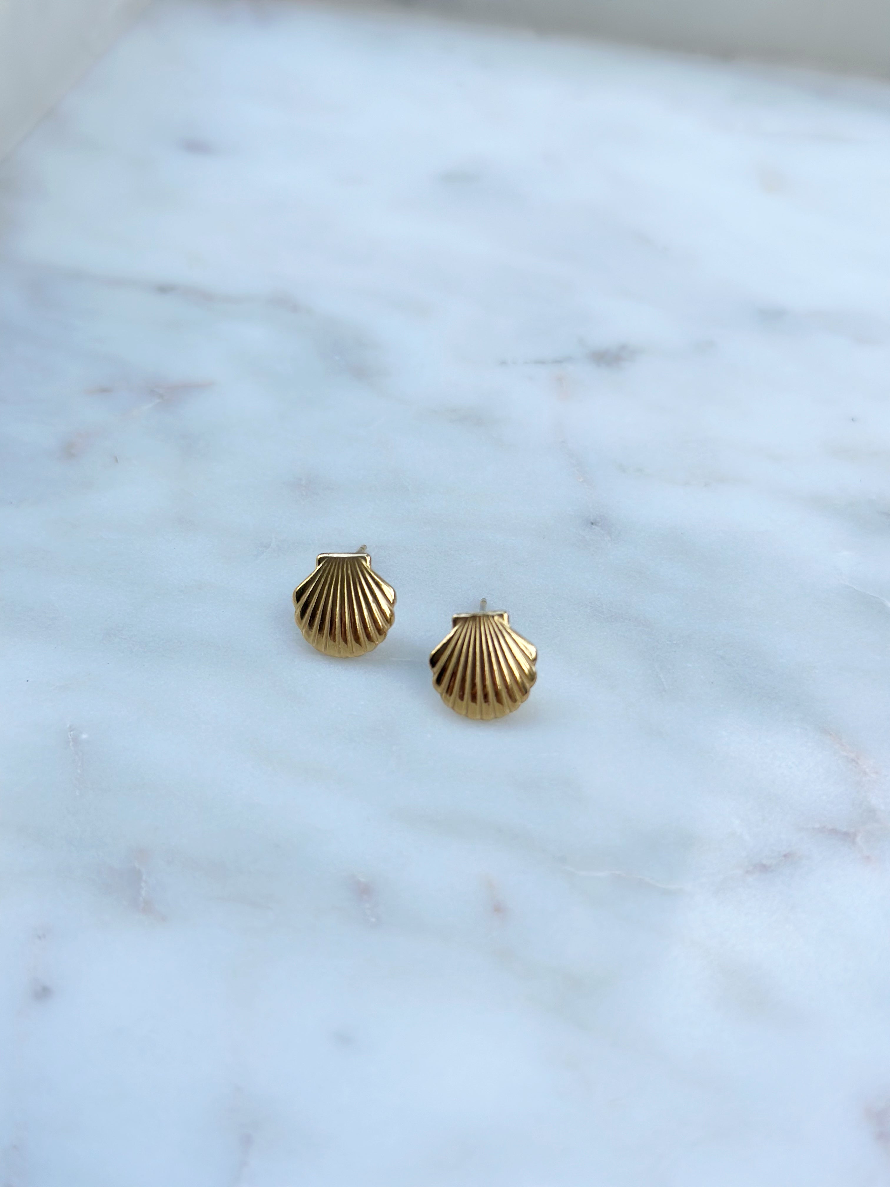 Mini Seashell Studs - Gold
