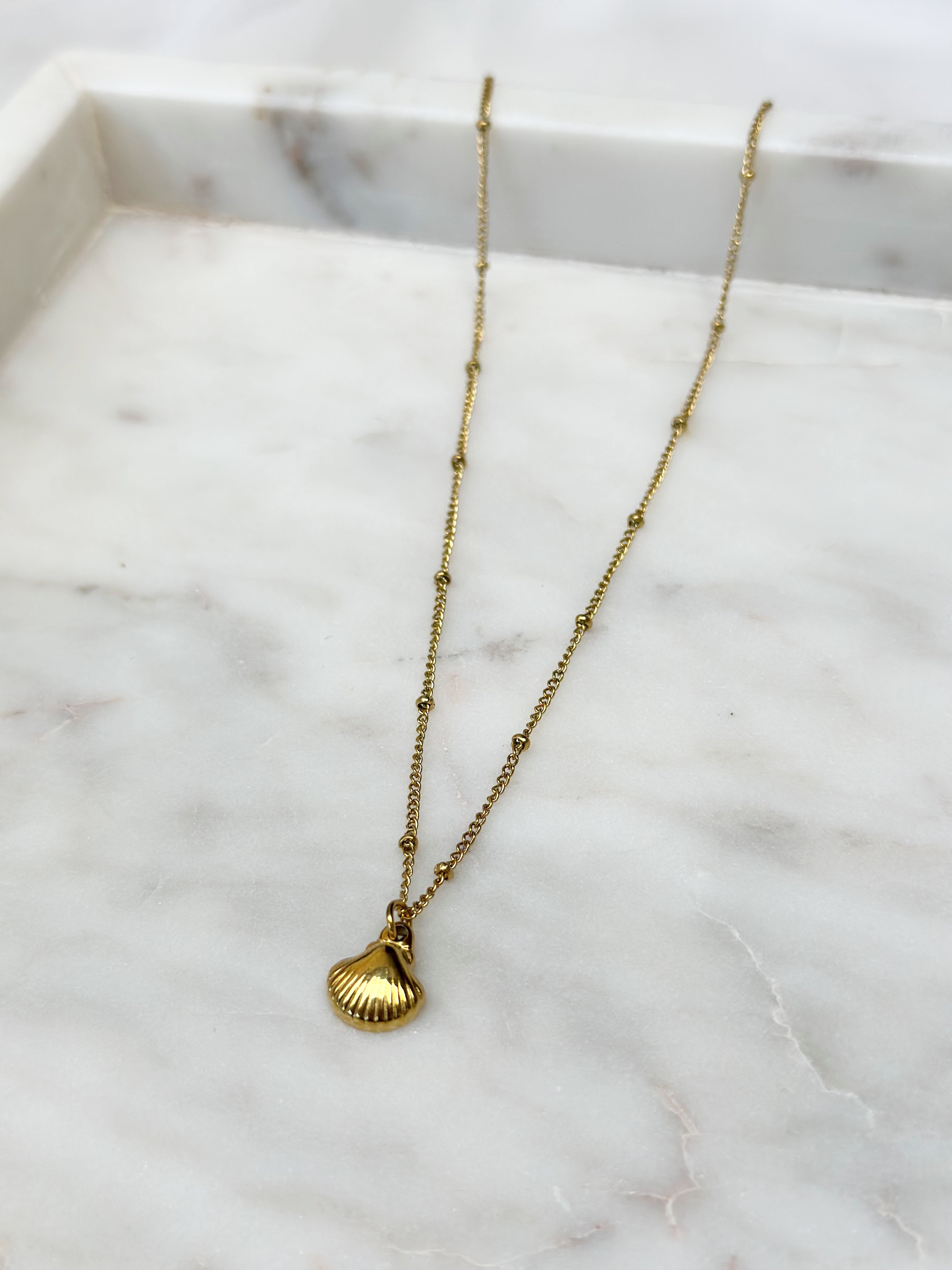 Dainty Shell Pendant Necklace