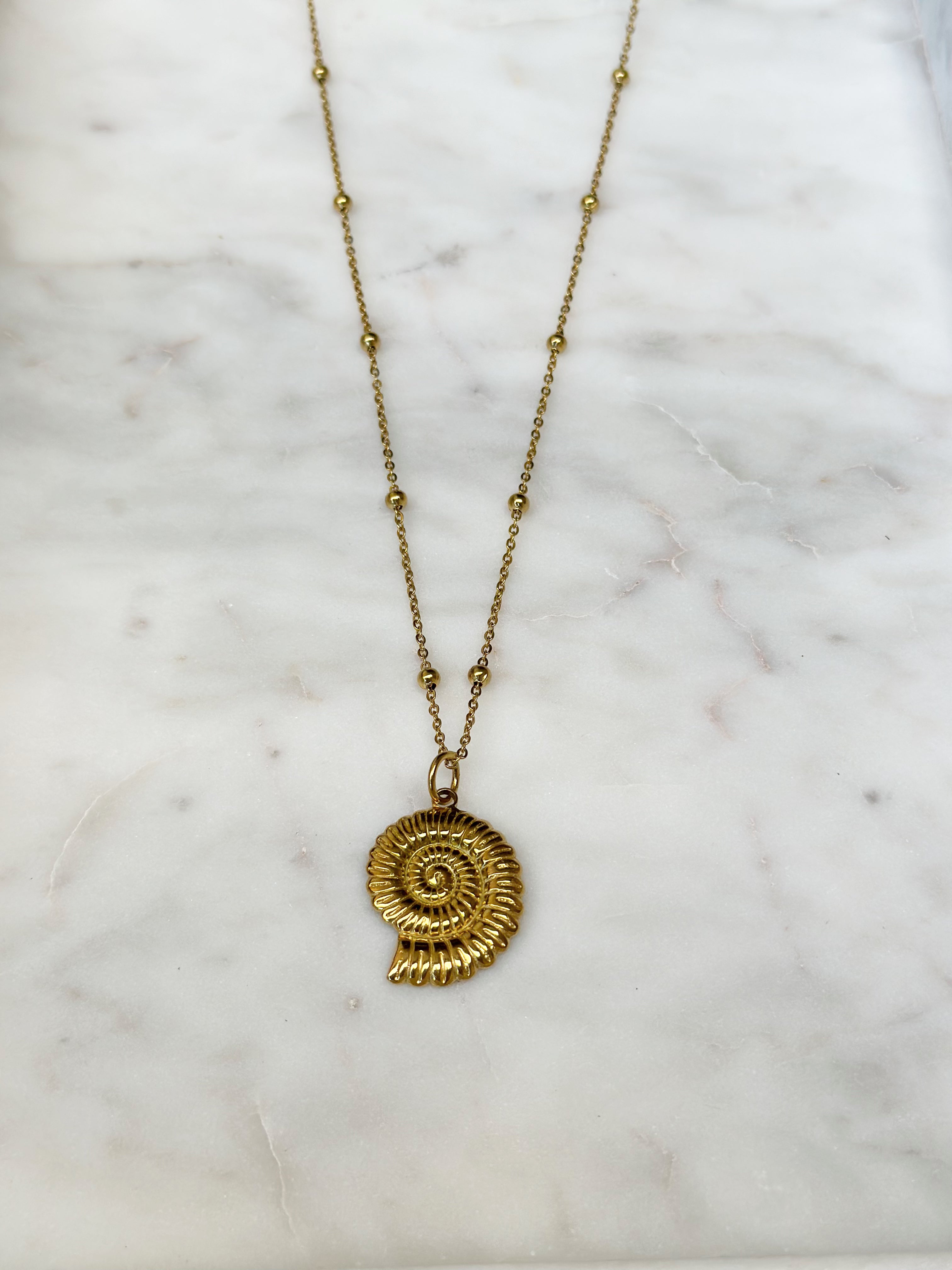 Conch Shell Necklace