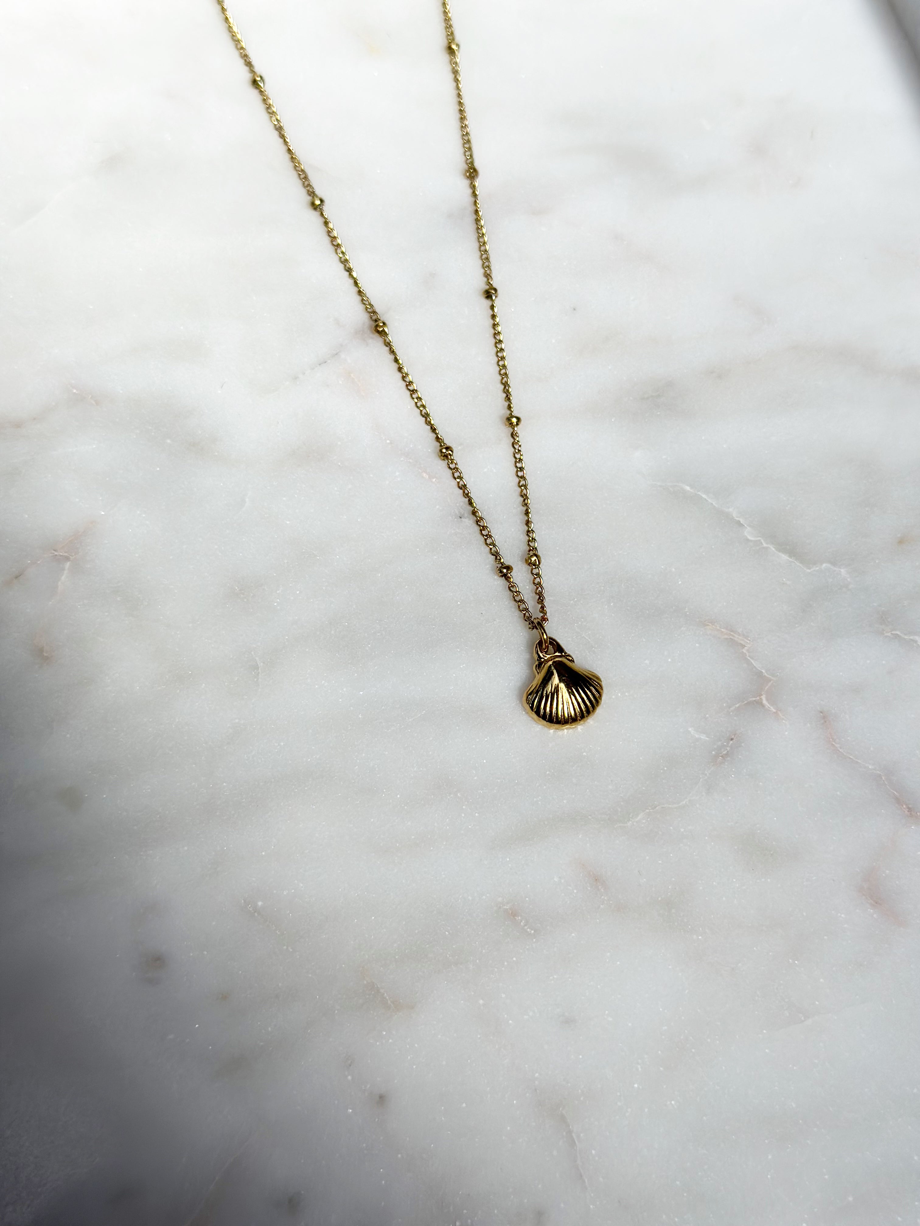 Dainty Shell Pendant Necklace