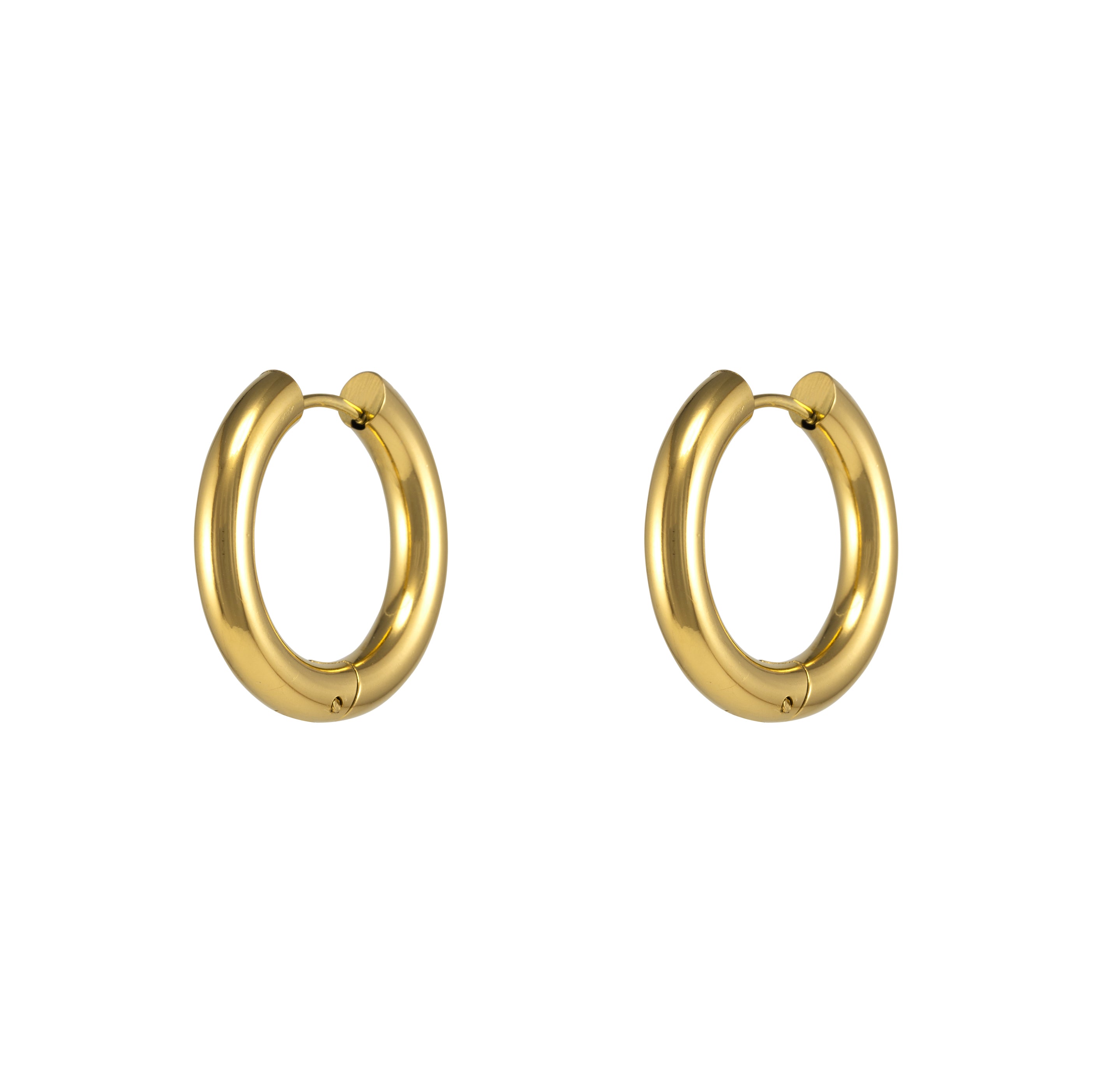 Celine Hoop Earrings